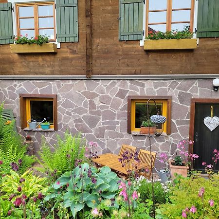 Blick In Den Garten Holzschlag Exteriör bild