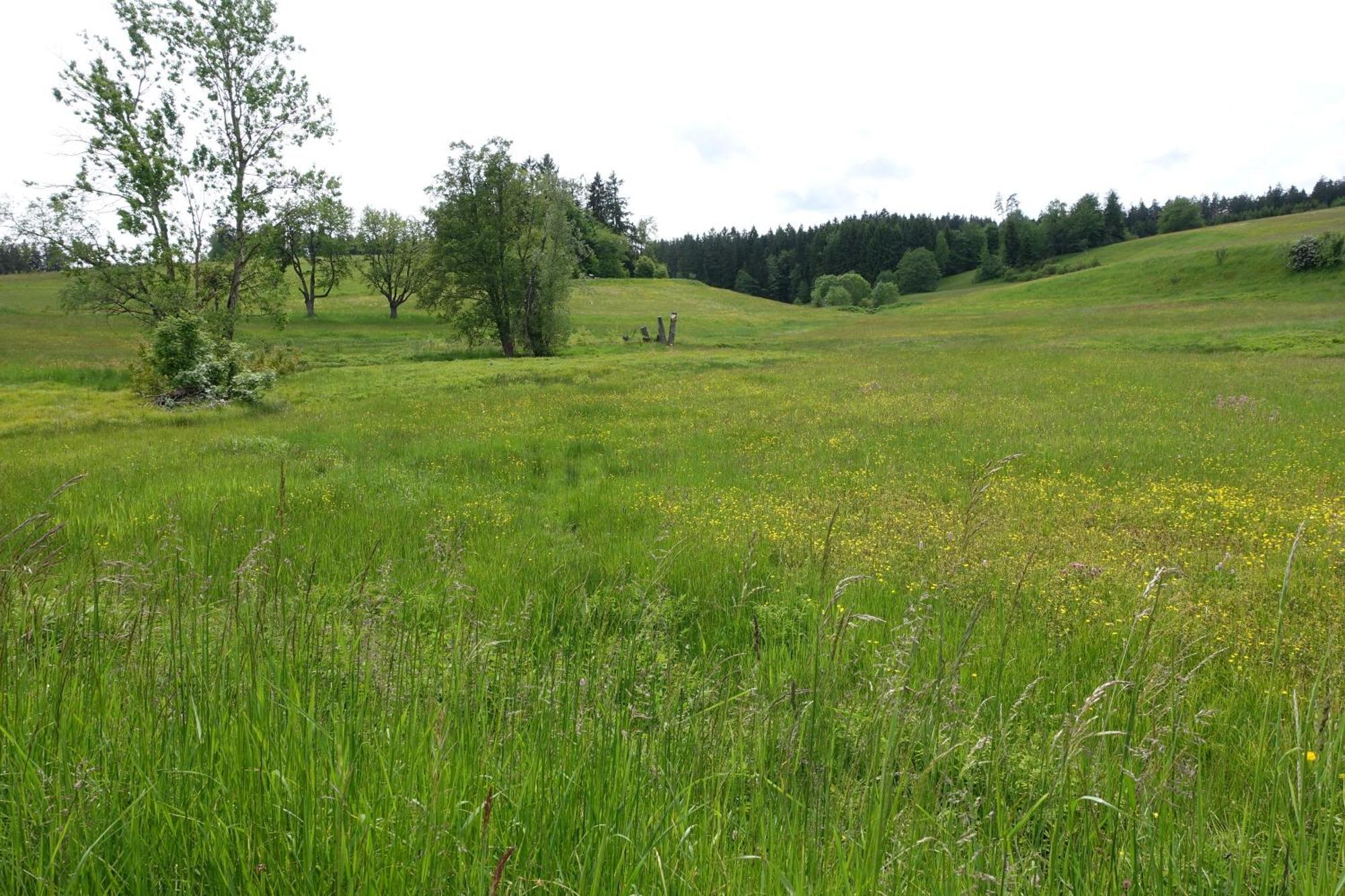 Blick In Den Garten Holzschlag Exteriör bild